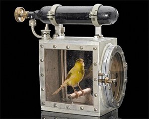 Putting the canary on life support