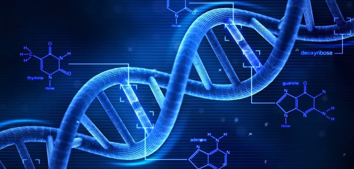 dna