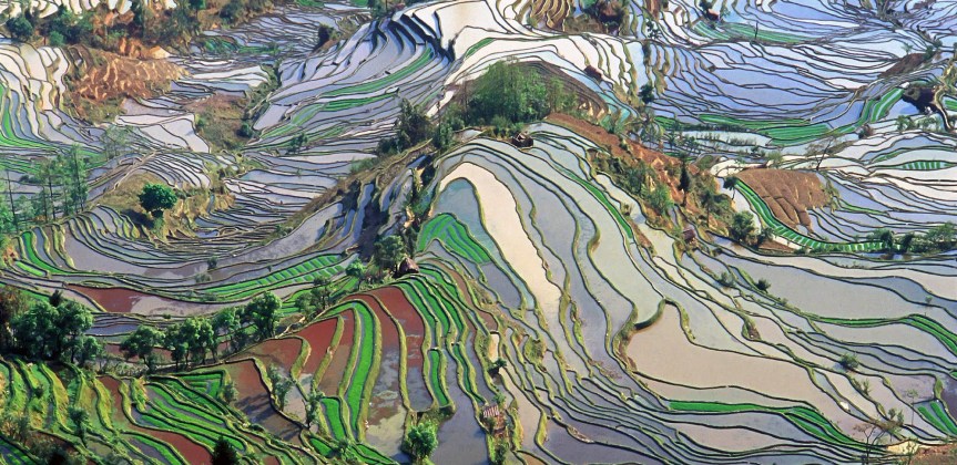 terrace_field_yunnan_china_denoised.jpg