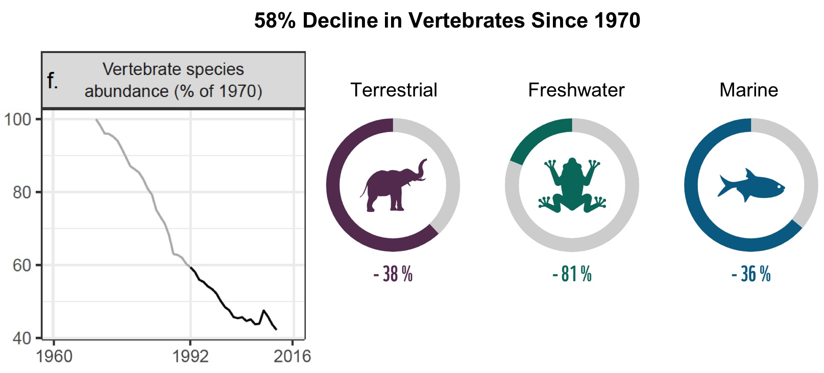 58% decline in vertebrates