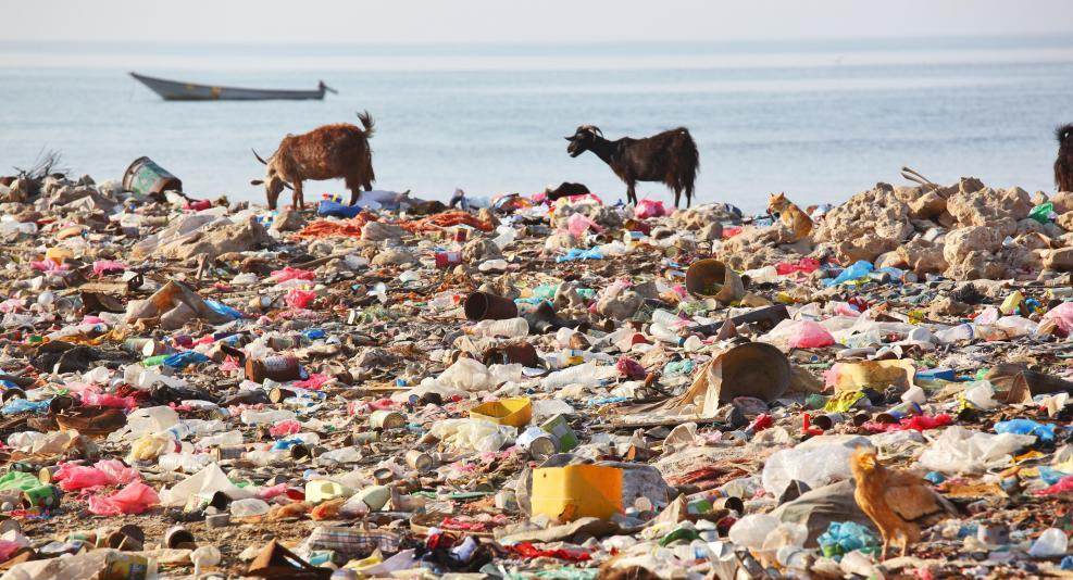 environmental destruction