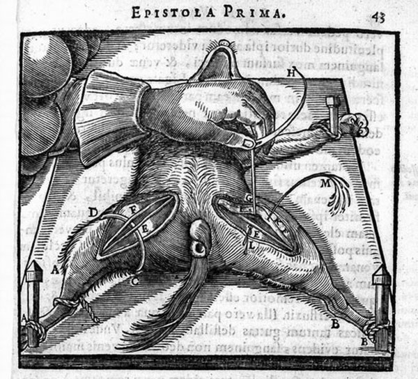 Descartes vivisection